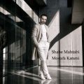 mostafa karami shabe mahtabi 2026 10 06 08 20